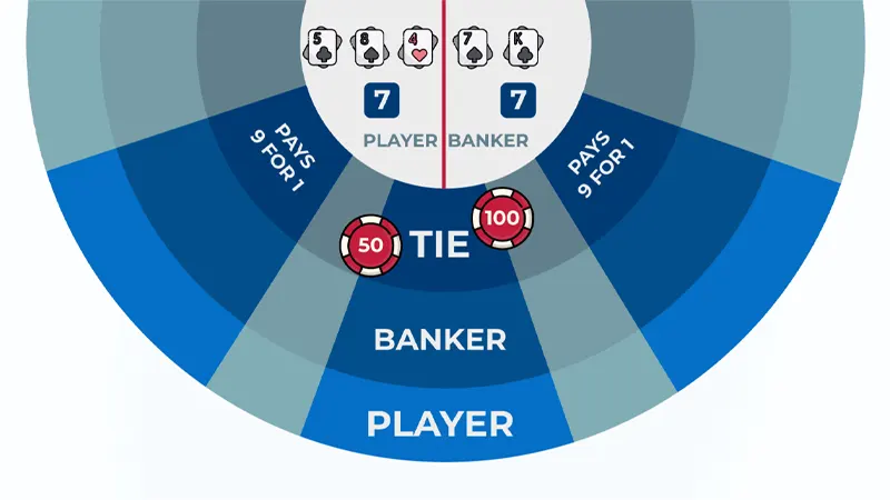 Infographic showing tie bet occurrence rate and payout structure over 100 baccarat hands with win/loss breakdown